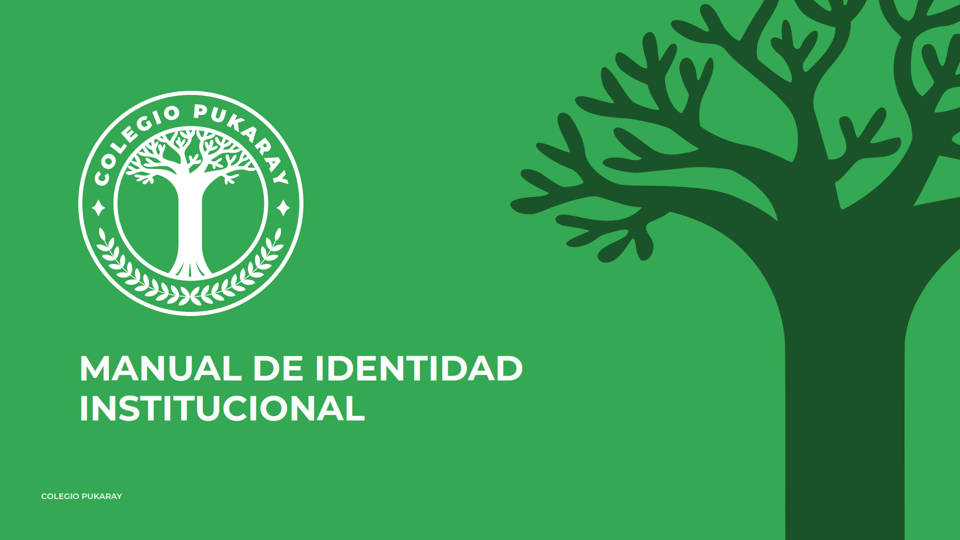 Manual de Identidad Institucional